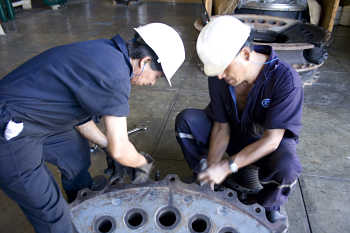 Owl Image